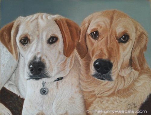 White Cyprus Pointer and Golden Retriever double portrait painting in soft pastels - The Furry Rascals, Cyprus